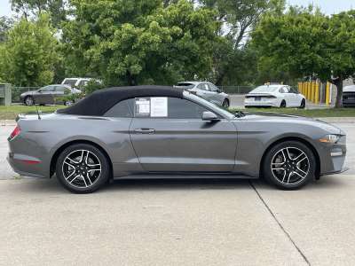 Used 2019 Ford Mustang EcoBoost Premium Convertible for sale in St. Joseph MO